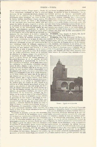 LAMINA V06683: Iglesia de la Asuncion en Tuesta Alava