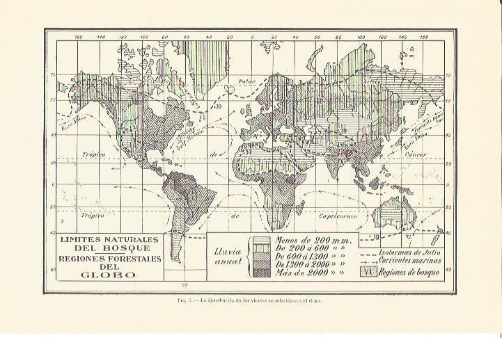 LAMINA V06715: Regiones forestales del mundo