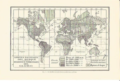 LAMINA V06715: Regiones forestales del mundo