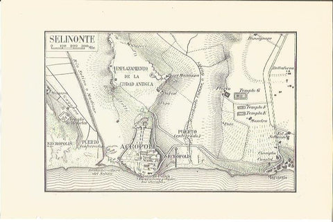 LAMINA V06713: Plano de Selinonte Sicilia