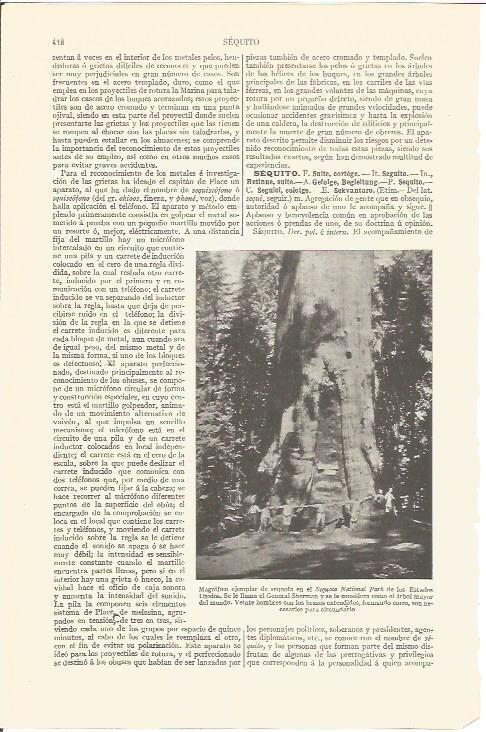LAMINA V06775: Sequoia llamada General Sherman