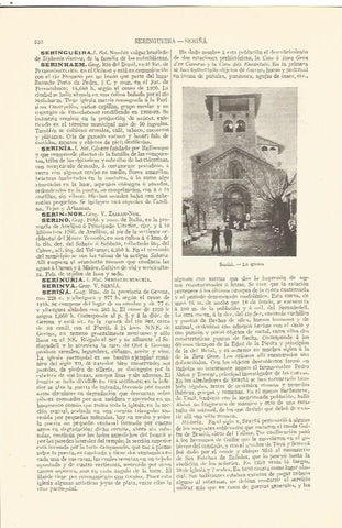 LAMINA V06796: Iglesia de Seriña Gerona
