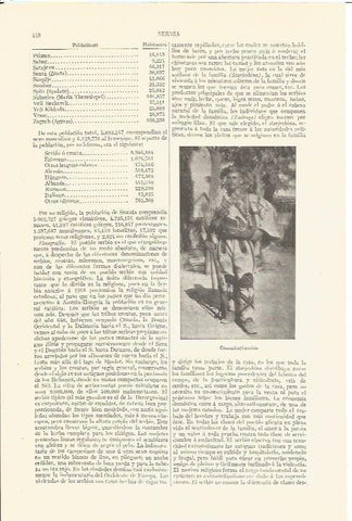 LAMINA V06778: Commitayi serbio