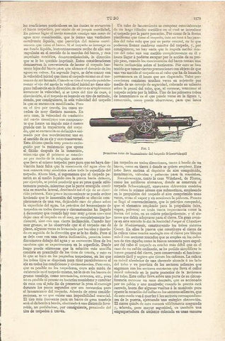 LAMINA V06670: Torpedo Schwartzkopff