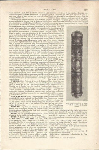 LAMINA V06669: Tubo para documentos de B. Hanau