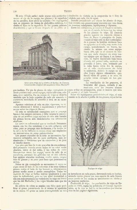 LAMINA V06529: Fabrica de harina de Cervera