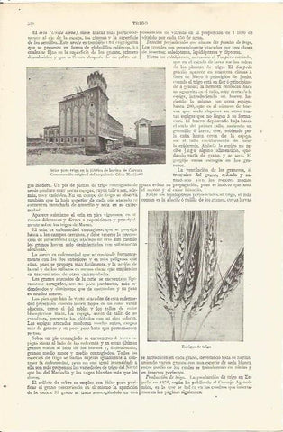 LAMINA V06529: Fabrica de harina de Cervera