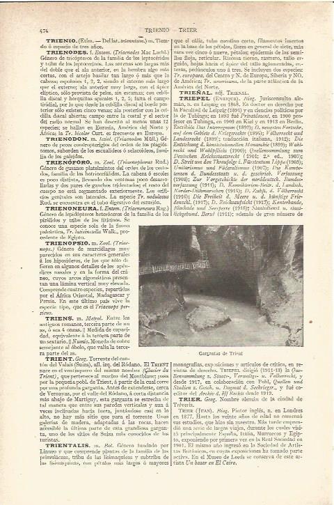 LAMINA V06522: Gargantas de Trient