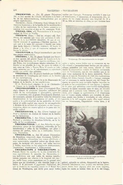 LAMINA V06518: Triceratops