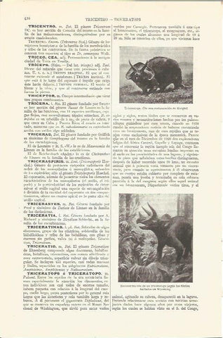 LAMINA V06518: Triceratops