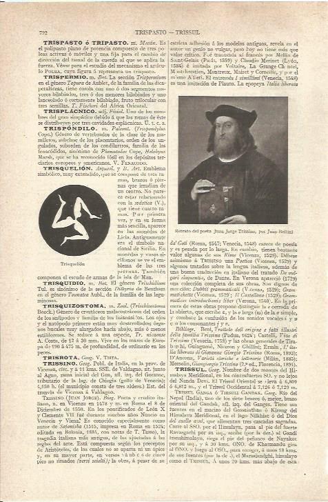 LAMINA V06564: Juan Jorge Trissino, por Juan Bellini