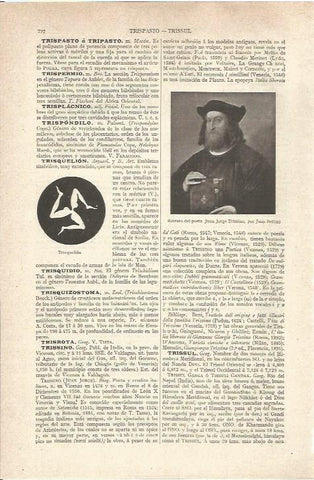 LAMINA V06564: Juan Jorge Trissino, por Juan Bellini