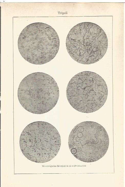 LAMINA V06556: Microfotografias del tripoli