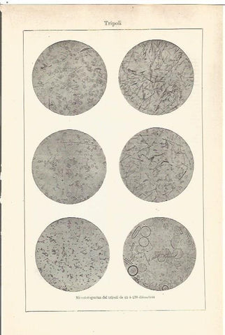 LAMINA V06556: Microfotografias del tripoli