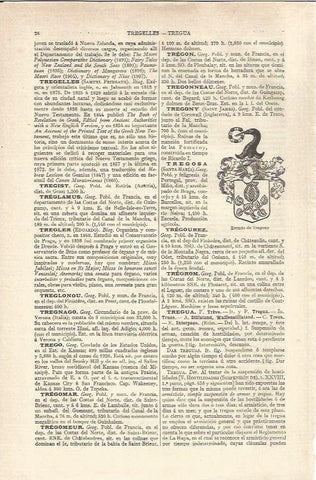 LAMINA V06469: Escudo de Tregony, Inglaterrra