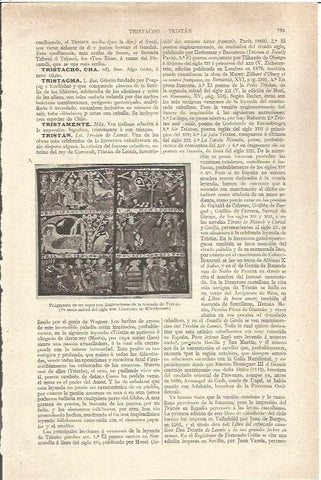 LAMINA V06565: Tapiz la leyenda de Tristan