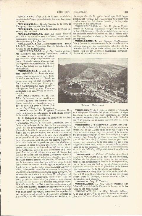 LAMINA V06511: Vista general Triberg, Alemania