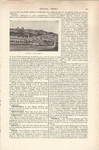 LAMINA V06504: Vista general Trevoux, Francia