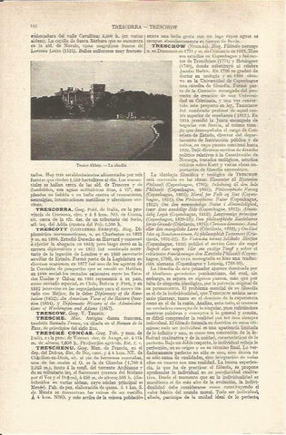 LAMINA V06492: Abadia de Tresco Abbey, Inglaterra