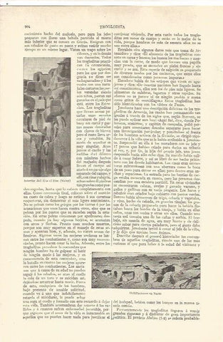 LAMINA V06594: Interior del Kas el Zim en Nalut