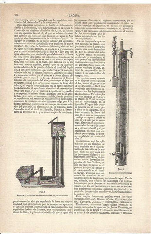 LAMINA V06612: Soplador de Dalmoiseau
