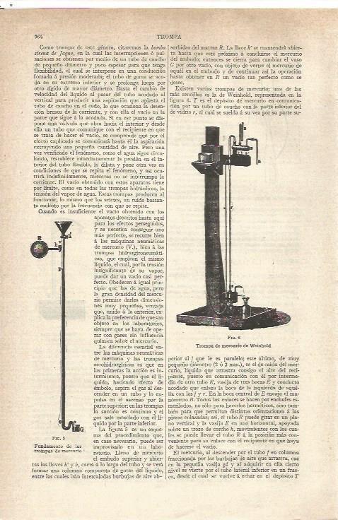 LAMINA V06611: Trompa de mercurio Weinhold