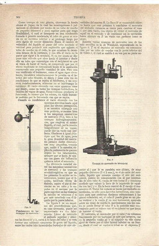 LAMINA V06611: Trompa de mercurio Weinhold
