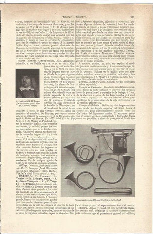 LAMINA V06610: Trompas de caza