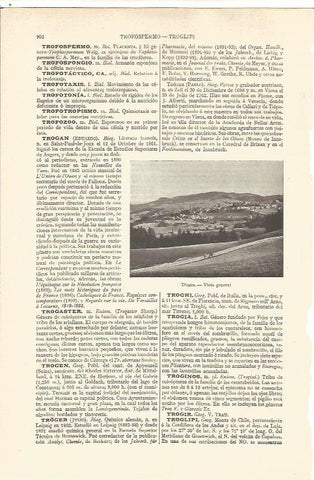 LAMINA V06593: Vista de Trogen, Suiza