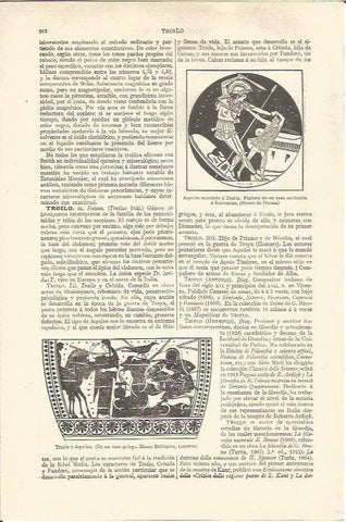 LAMINA V06597: Troilo y Aquiles