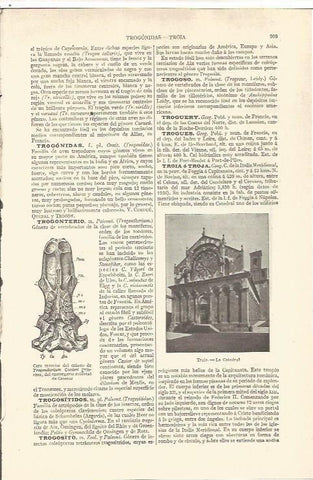 LAMINA V06596: Catedral de Troia Italia