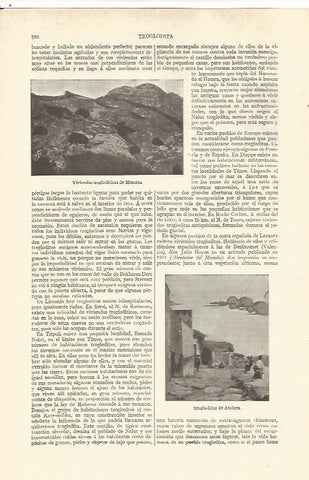 LAMINA V06595: Trogloditas de Atalaya