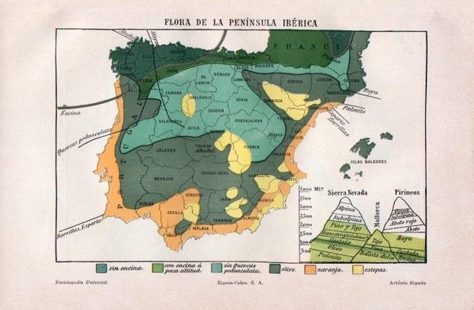 LAMINA V07106: Mapa de la flora de la Peninsula Iberica