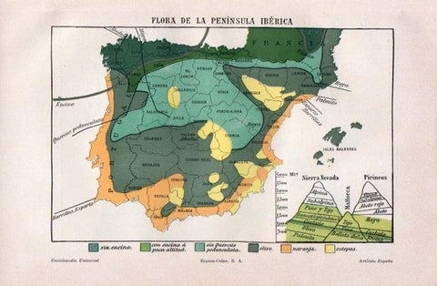 LAMINA V07106: Mapa de la flora de la Peninsula Iberica
