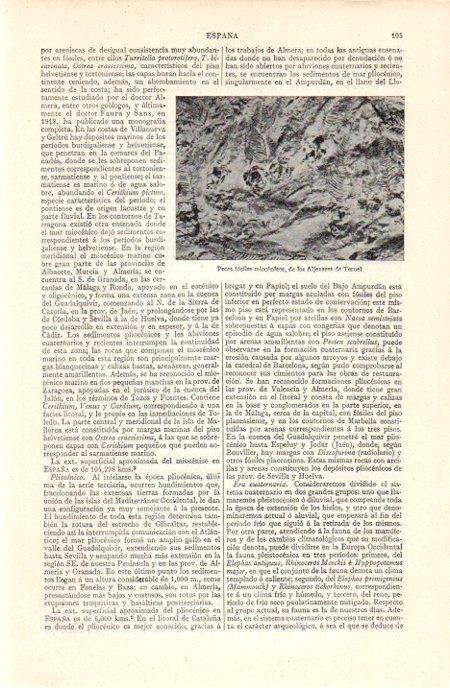 LAMINA V07102: Peces fosiles miocenicos del los Aljezares de Teruel