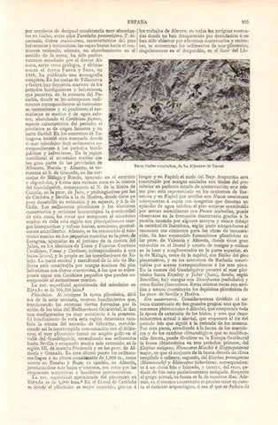 LAMINA V07102: Peces fosiles miocenicos del los Aljezares de Teruel