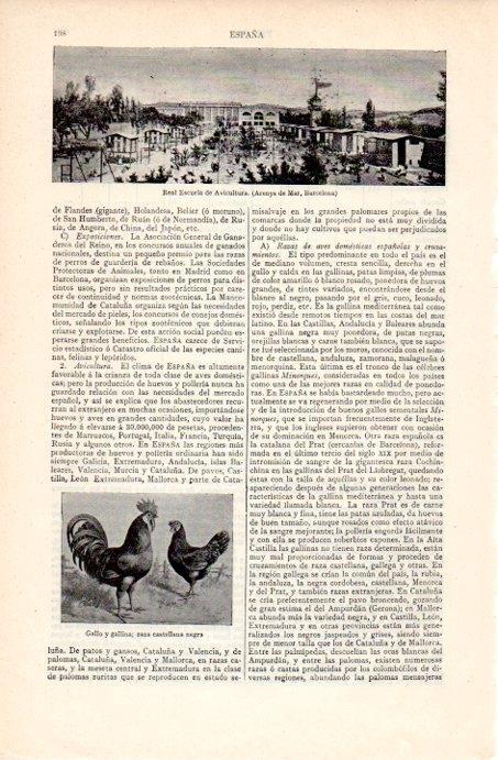 LAMINA V07117: Real Escuela de Avicultura en Arenys de Mar
