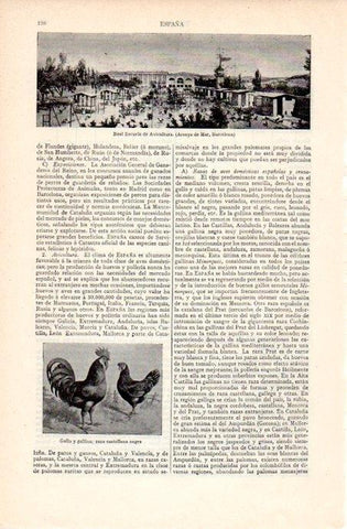 LAMINA V07117: Real Escuela de Avicultura en Arenys de Mar
