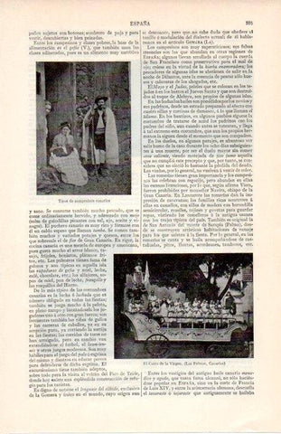 LAMINA V07199: Campesinos canarios y Carro de la Virgen en Las Palmas