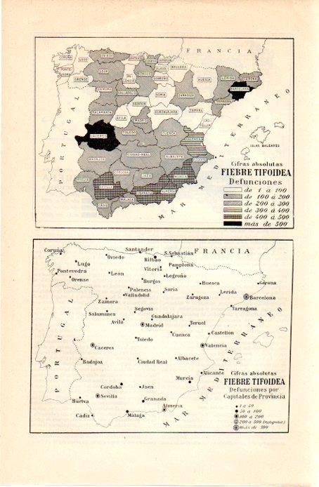 LAMINA V07225: Mapa de la fiebre tifoidea en España