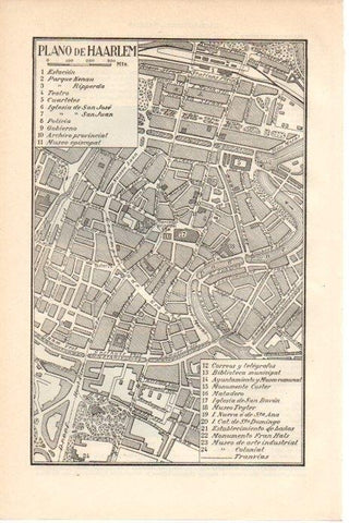LAMINA V08490: Plano de Haarlem, Holanda 