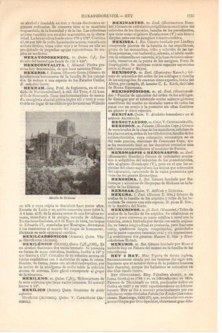LAMINA V08653: Abadia de Hexham