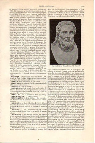 LAMINA V08649: Busto de Hesiodo