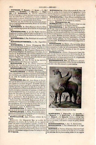 LAMINA V08693: Hipogrifo en Campo santo de Pisa