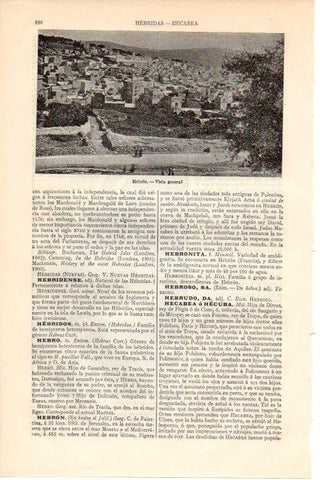LAMINA V08584: Vista de Hebron, Palestins