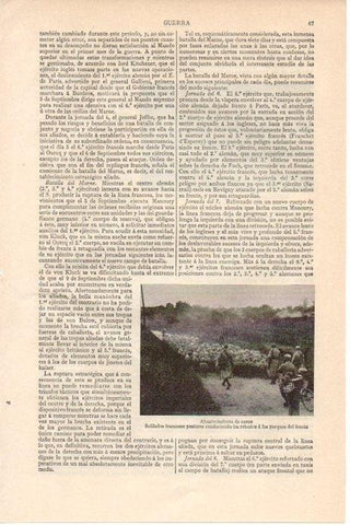 LAMINA V08411: Abastecimiento de carne en la Primera Guerra Mundial