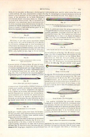 LAMINA V08228: Plumas y calamo de escritura