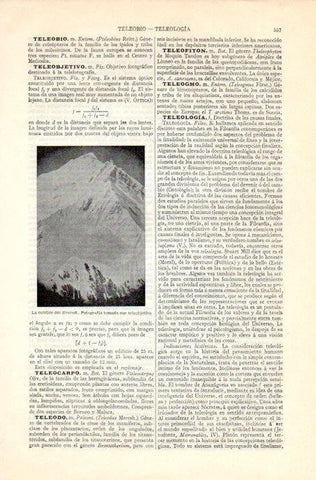 LAMINA V08234: Cumbre del Everest