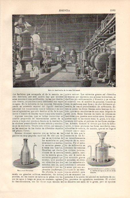 LAMINA V08164: Sala de destilacion de Schimmel