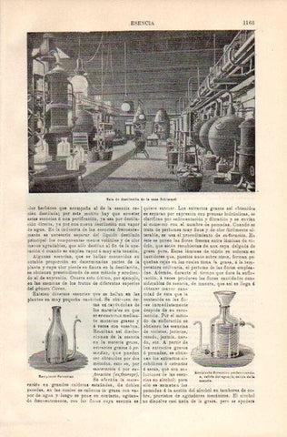 LAMINA V08164: Sala de destilacion de Schimmel